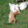 A_baratsag_hatartalan_1774523_2152_t
