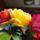 Dsc01198_1774149_1288_t