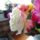 Dsc01201_1774135_6831_t
