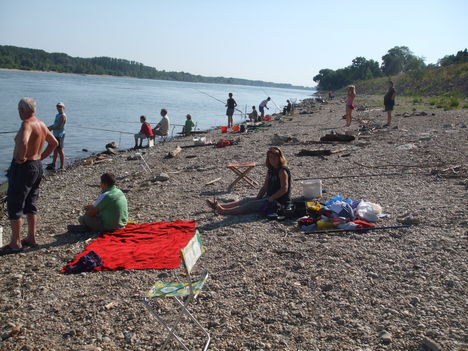 DSCF0453
