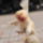 Kakricsatar_1774515_6030_t