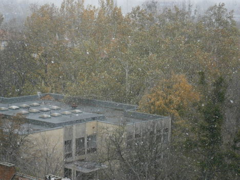 Az első hó - November 25., délelőtt, otthon