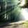 Esztergalyos_erzsebet_legy_fenysugar_1775491_1956_t