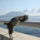 Meditalok-001_1775034_4433_t