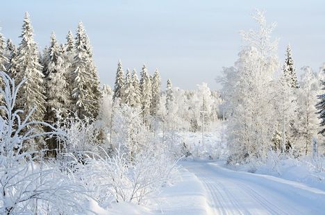 Mentovics Éva: HÓKRISTÁLYOK ROPPANAK