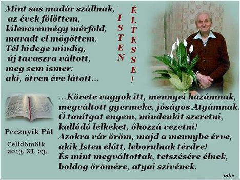 Pecznyík Pál Mindannyiunk egyik kedvenc költője 94 éves!