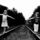 Baratsag_mindorokke_1776608_7236_t