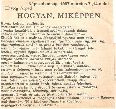 Herczeg Árpád-Szobánk falára26