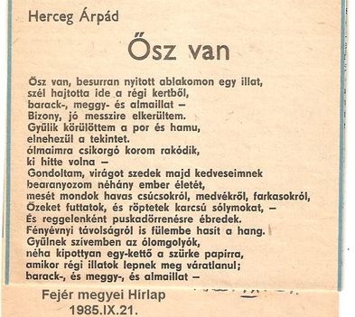 Herczeg Árpád-Szobánk falára27