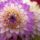 _xxl_1777052_1854_t