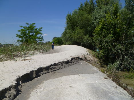 Árvíz utáni övzátonyképződés (homokdüne) a Flóri kapunál, Dunakiliti, 2013. június 13.-án