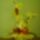 2850926328_1275094_584865668218691_1073077027_o_2_1778254_3599_t