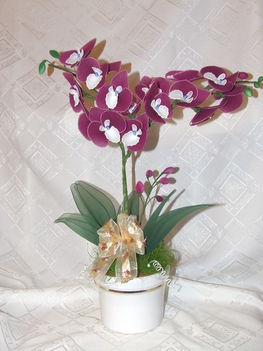 égősorra épített orchidea