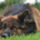 Gondolkozzunk_1778744_9283_t