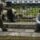 Panda_akcioban935gif_1778434_1553_t