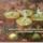 Aldott_advent_hetveget-001_1779882_8672_t