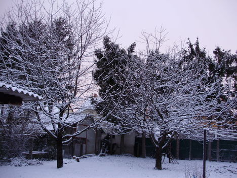 Bánfalvi téli fotó