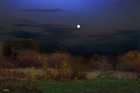 Holdvilágos őszi estén