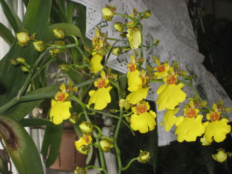 2013 nov15 2