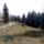 Aranylo_osz-068_1770823_5339_t