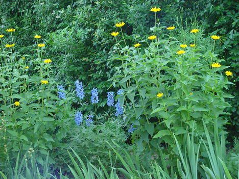 DSC06030
