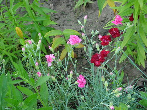 DSC06044