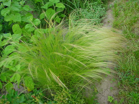 DSC06046