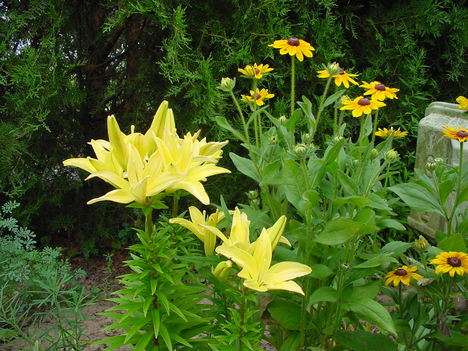 DSC06102