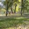 Egyéni gurulás,Makói kaladpark,végre nagy nyugalomban sétáltam a park fái között!