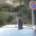 Enyem_na_es__1770941_2438_t