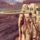 Grand_canyon_arizona_usa_7_1770069_6844_t