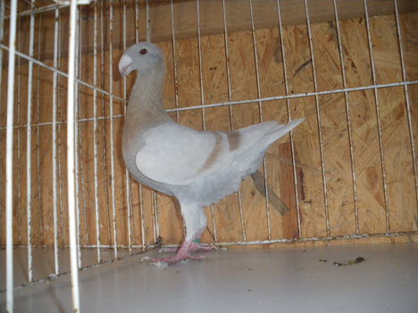 IMGP3173