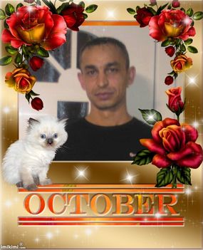 October Autumn Roses and Cat - 1Ncng-105 - normal