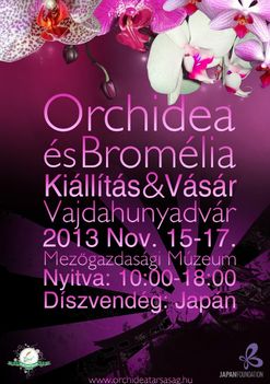 Orchidea- és broméliakiállítás és -vásár Budapesten