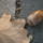Pa201205_1770938_4012_t