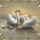 Vidam_szep_hetveget_mindenkinek__1770659_3181_t