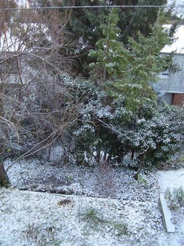 Idei tél első hava, erkélyünkről fotózva