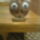 Kep0570bagoly_1781260_9757_t