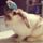 Nyuszi_es_papagaj_1781286_9419_t