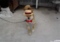 A kis Fred Astaire-127-gif