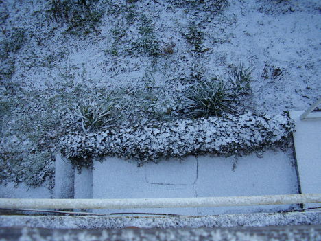 Első hó a kiskertemben, 2013. dec.