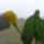 8883937648_kala_001_1787320_3802_t