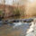 Mai_vadaszatomrol_3_1787523_2610_t