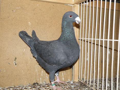 PC280955