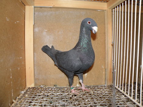 PC280996
