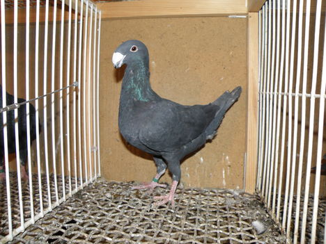 PC280998