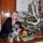 Princ_es_en__1787250_7220_t