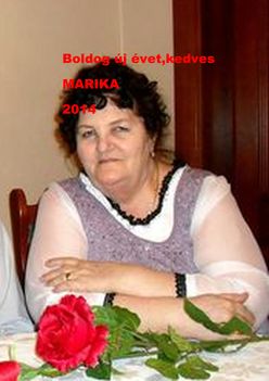 Áldott Új Esztendőt,kedves Marika ... 