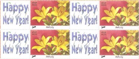 India_2014_Happy_New_Year