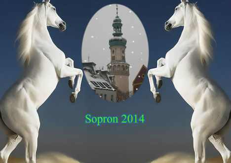 Sopron 2014